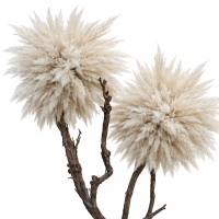 Pampas Tree Art #5 (exclusief vaas)